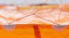 csm_NOVA_Triton2_details-3_ce6feabbef.jpg (100586 Ӧ줸)