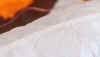 csm_NOVA_Triton2_details-7_8b34e1a1ae.jpg (56368 Ӧ줸)