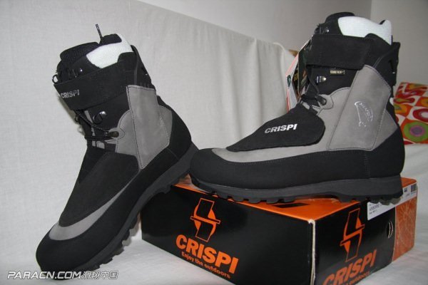 CRISPI (3).jpg