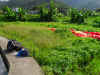 SDC10593b.jpg (146275 Ӧ줸)
